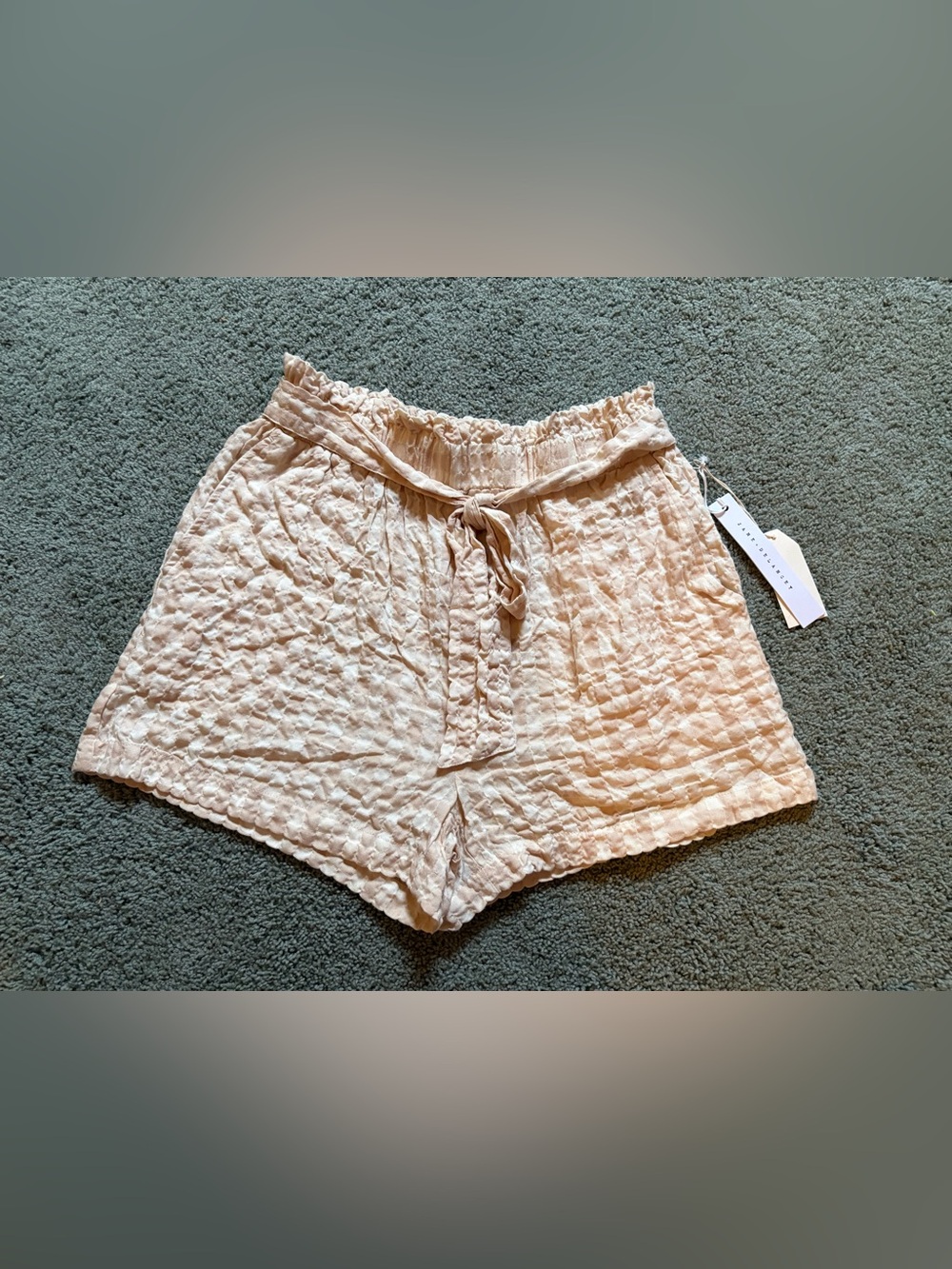 Jane & Delancey Paper Bag Shorts Size M Checkered Seersucker Waist Tie NWT